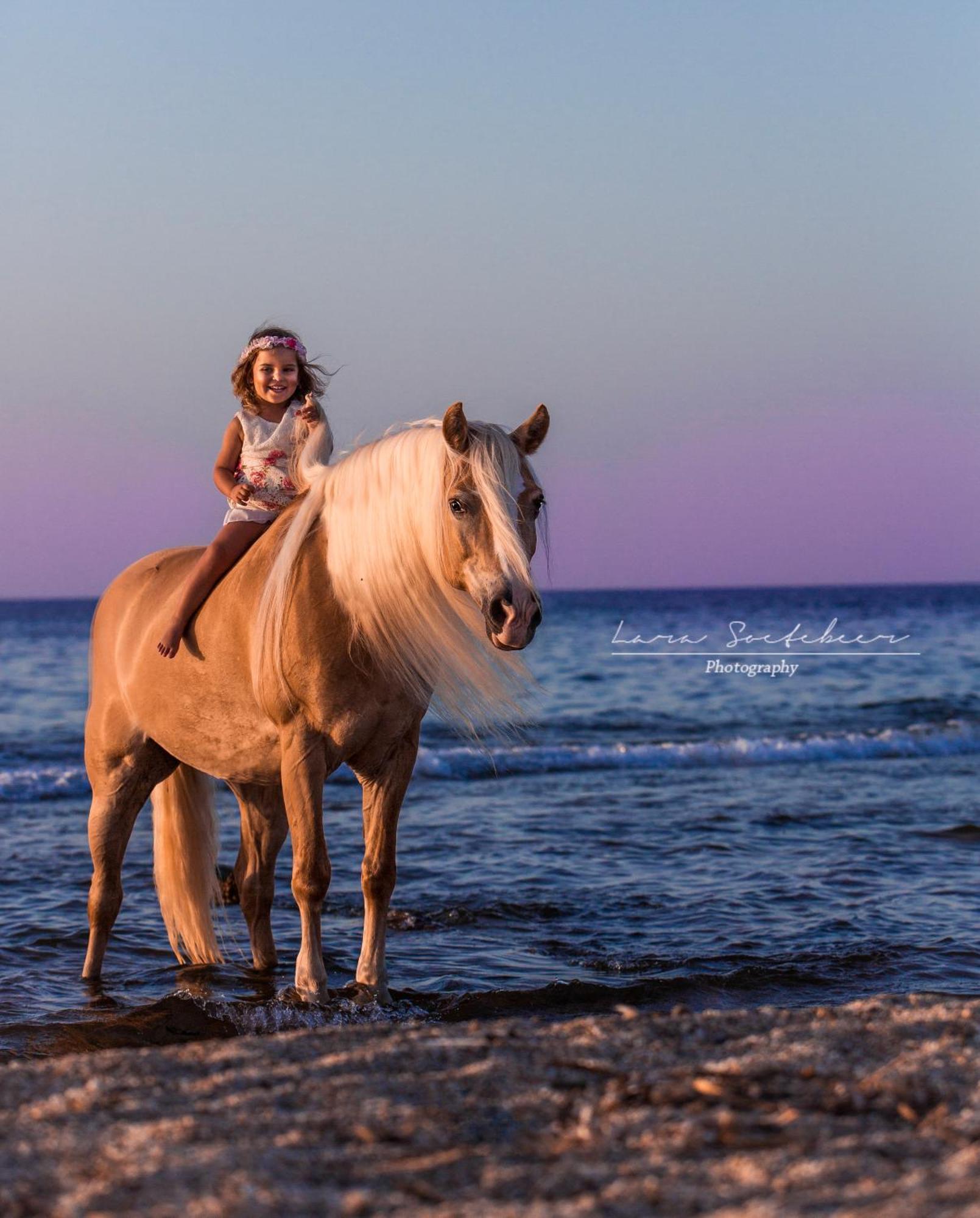 Arion Stables & Apartments Χερσόνησος Εξωτερικό φωτογραφία