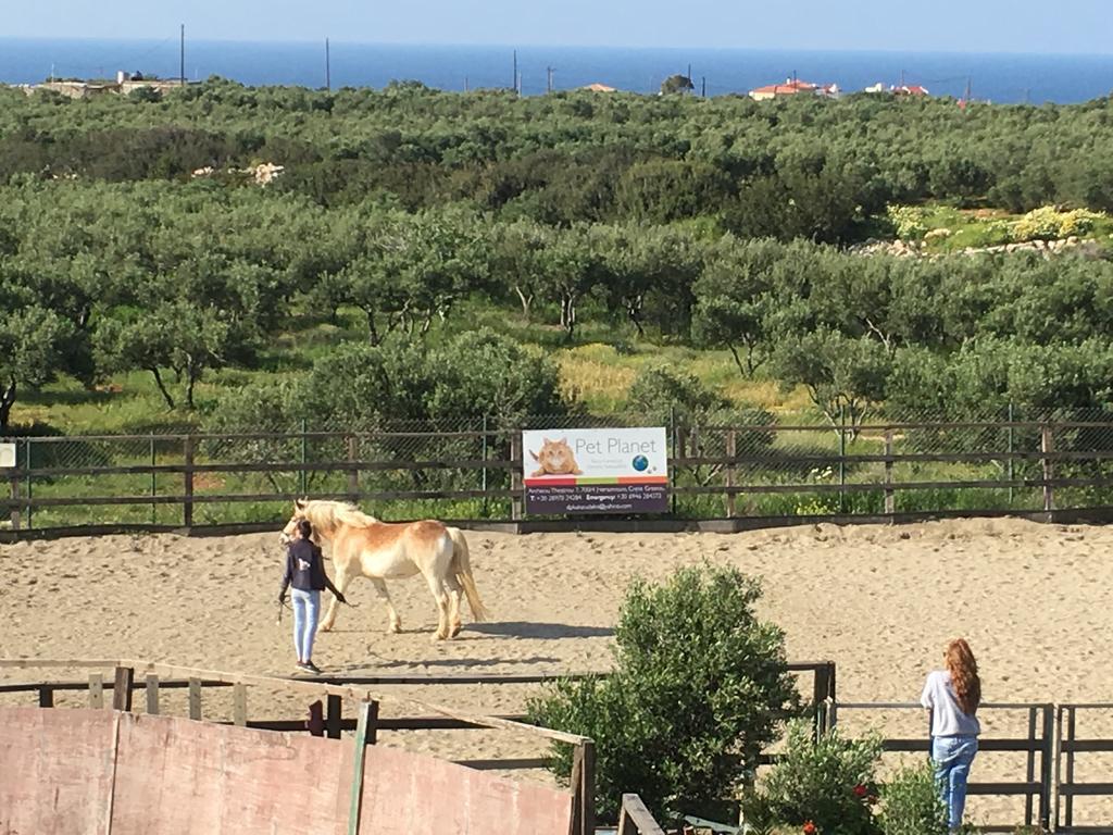 Arion Stables & Apartments Χερσόνησος Εξωτερικό φωτογραφία